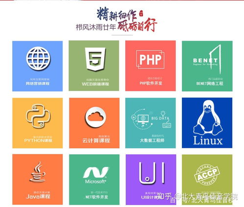 北大青鳥基礎(chǔ)軟件服務(wù)專業(yè)詳解及學費參考